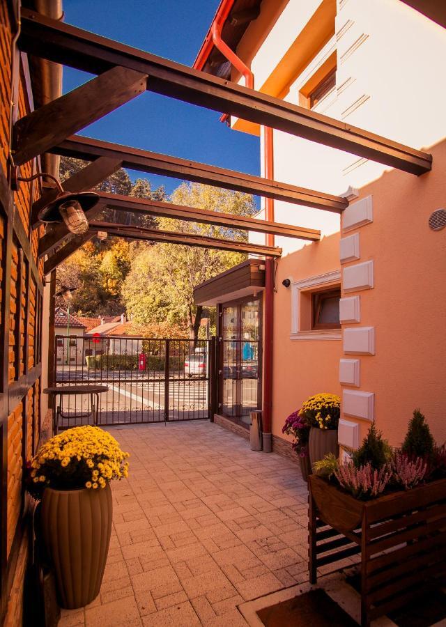 Villa Boutique Arnica Braşov Exterior foto